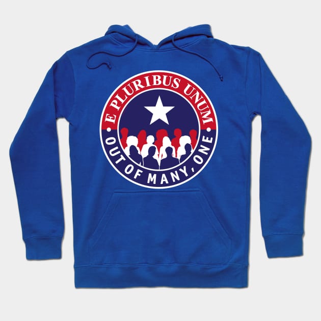 E Pluribus Unum Shield Hoodie by Mindscaping